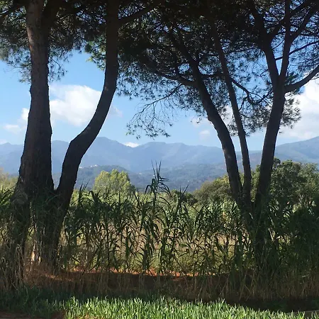 La Vignarella *
